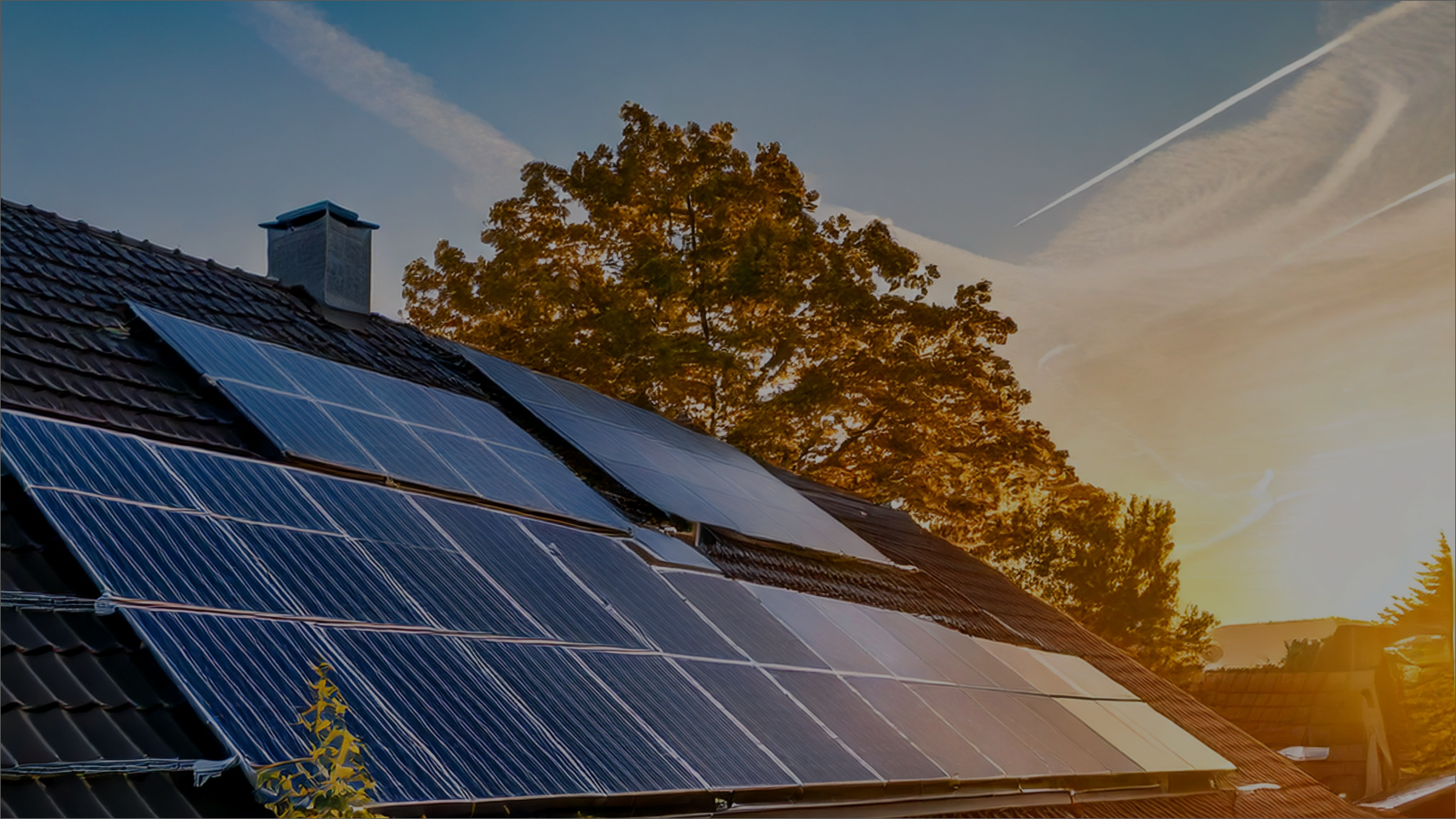 Solar Panel Farm